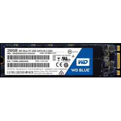 Dysk SSD M2.SATA 250GB WD Blue WDS250G2B0B